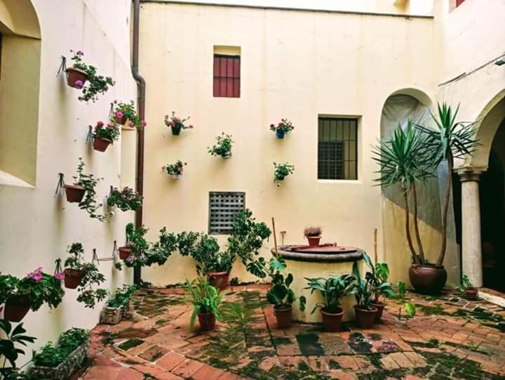 Albergue Convento S.Francisco Сафра Екстериор снимка
